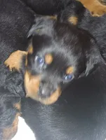 processed/aa622e16-032e-4b69-a389-b2fa3a1d1a1c/listing/e8a6a328-8096-408b-bffd-b7e6526fc2b0/07a78c9c-b7d6-4909-ab70-3fddc15f66b6