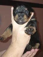 processed/aa622e16-032e-4b69-a389-b2fa3a1d1a1c/listing/e8a6a328-8096-408b-bffd-b7e6526fc2b0/b9cfabad-841e-4730-95b9-31345a11630d