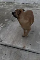 processed/aa629213-a05d-49c0-9586-f69635aca02d/listing/3169c916-e61c-4f03-8bf4-a27fca3efa9a/21cadbcb-40a3-47cc-a419-6939eb38261e