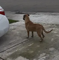 processed/aa629213-a05d-49c0-9586-f69635aca02d/listing/3169c916-e61c-4f03-8bf4-a27fca3efa9a/467c1df5-a73f-4644-af3a-562445fef60c