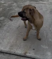 processed/aa629213-a05d-49c0-9586-f69635aca02d/listing/3169c916-e61c-4f03-8bf4-a27fca3efa9a/d643f196-588c-4f35-9749-9eb416bccb3f