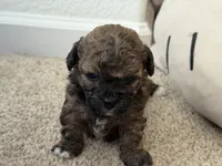 processed/aa629213-a05d-49c0-9586-f69635aca02d/listing/77ccf27f-f00b-41c5-858e-9d3a3101d7d2/717bddfc-7c20-4f82-992e-3cbc50c66a75