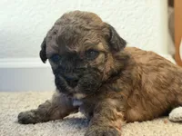 processed/aa629213-a05d-49c0-9586-f69635aca02d/listing/77ccf27f-f00b-41c5-858e-9d3a3101d7d2/e3301cb6-ba00-4d30-b0d4-622261f62d8a