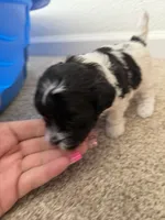 processed/aa629213-a05d-49c0-9586-f69635aca02d/listing/786575fc-888d-4be0-8da9-11d4ad14a94e/20f31d4a-db80-4d02-98a0-fe1fa0d502ba