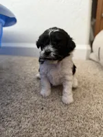 processed/aa629213-a05d-49c0-9586-f69635aca02d/listing/786575fc-888d-4be0-8da9-11d4ad14a94e/74f15fa8-d338-44a2-a41b-6caae870a04d