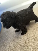 processed/aa629213-a05d-49c0-9586-f69635aca02d/listing/e9fd342d-2ba4-49fd-8478-796afaadfb3b/32da0587-eb0d-4a44-9908-d65c9ad980ae