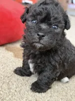 processed/aa629213-a05d-49c0-9586-f69635aca02d/listing/e9fd342d-2ba4-49fd-8478-796afaadfb3b/b26ab613-7aca-476f-9859-639f92d6acdd