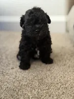 processed/aa629213-a05d-49c0-9586-f69635aca02d/listing/e9fd342d-2ba4-49fd-8478-796afaadfb3b/bc38be91-7f29-4709-88ec-afff66c320c0