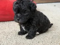 processed/aa629213-a05d-49c0-9586-f69635aca02d/listing/e9fd342d-2ba4-49fd-8478-796afaadfb3b/e88a233f-2b48-4ddc-bb31-c7de10e38471