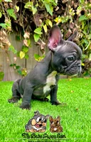 processed/aa7e8f30-e54e-49af-bb7f-98edaedc453f/listing/17171096-f7dd-4c27-aedc-c92401728b07/84b84823-72a0-4289-8d83-50e2547af15a