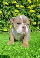 processed/aa7e8f30-e54e-49af-bb7f-98edaedc453f/listing/31fa30c5-c969-44a8-92d7-3f0c835ca87a/5bf7e2af-e94f-4126-8cc0-b5c2a369f6c5