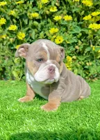 processed/aa7e8f30-e54e-49af-bb7f-98edaedc453f/listing/31fa30c5-c969-44a8-92d7-3f0c835ca87a/ced1a494-913e-4777-883c-17978dbbc804