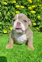 processed/aa7e8f30-e54e-49af-bb7f-98edaedc453f/listing/31fa30c5-c969-44a8-92d7-3f0c835ca87a/cfb7df01-4780-4897-9a5e-fb8041f38918