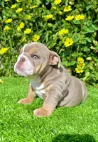 processed/aa7e8f30-e54e-49af-bb7f-98edaedc453f/listing/31fa30c5-c969-44a8-92d7-3f0c835ca87a/f36e9ed5-045a-4e89-b418-d2acfd36e24f