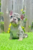 processed/aa7e8f30-e54e-49af-bb7f-98edaedc453f/listing/61ffb7c5-9c60-4420-ba97-7b6526287c07/db4e351d-c58c-4d59-b53a-ef482a34c369