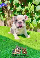 processed/aa7e8f30-e54e-49af-bb7f-98edaedc453f/listing/8e42132a-578e-45bd-a0b8-65f52aba8f79/28f08879-8cd1-42a4-b9a1-029d08a73d7d