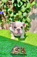 processed/aa7e8f30-e54e-49af-bb7f-98edaedc453f/listing/8e42132a-578e-45bd-a0b8-65f52aba8f79/978889bc-8482-46ad-abde-f030d658511b