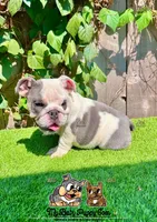 processed/aa7e8f30-e54e-49af-bb7f-98edaedc453f/listing/8e42132a-578e-45bd-a0b8-65f52aba8f79/aec30a35-e765-410d-a3ea-b89680f3f454