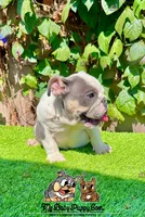 processed/aa7e8f30-e54e-49af-bb7f-98edaedc453f/listing/8e42132a-578e-45bd-a0b8-65f52aba8f79/bfaa8788-4107-4360-b235-eef6ad237caf