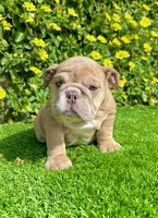 processed/aa7e8f30-e54e-49af-bb7f-98edaedc453f/listing/f3c6baae-6f0a-4f84-bd44-5026f4f1d8ba/488cc5a7-9a9d-4682-822b-f57639cc9787