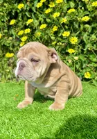 processed/aa7e8f30-e54e-49af-bb7f-98edaedc453f/listing/f3c6baae-6f0a-4f84-bd44-5026f4f1d8ba/b6382fcc-cddf-49ab-85cc-fd6f7548f4c3