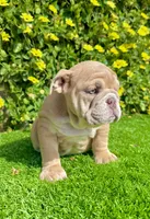 processed/aa7e8f30-e54e-49af-bb7f-98edaedc453f/listing/f3c6baae-6f0a-4f84-bd44-5026f4f1d8ba/df9021e7-2c0b-4ea1-92bc-c18c38ec0811