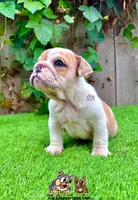 processed/aa7e8f30-e54e-49af-bb7f-98edaedc453f/listing/fb0735f9-3614-481f-93b1-a27ed632704d/9e3297f2-6d48-4c4d-9537-3210ea5cca07