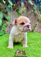 processed/aa7e8f30-e54e-49af-bb7f-98edaedc453f/listing/fb0735f9-3614-481f-93b1-a27ed632704d/d7998f46-f742-4a7e-be8a-e6d6335297a7