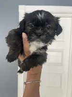 processed/aa850ea0-656b-4a7d-b695-0adaa774d126/listing/6bbf7677-bc4b-40b8-9ce2-a3ca247ce735/117a0a1b-8afc-4585-9055-850b768416aa