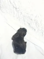 processed/aa850ea0-656b-4a7d-b695-0adaa774d126/listing/6bbf7677-bc4b-40b8-9ce2-a3ca247ce735/40b1705c-c0d0-446d-8754-780b20e3f6bb