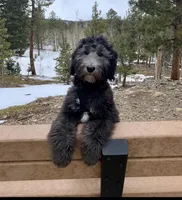 processed/aa932e19-8843-4f7a-b030-f1c77b9ef5a0/facility/0d45859a-6979-42ec-8b68-7223190fb55c