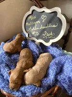 processed/aa932e19-8843-4f7a-b030-f1c77b9ef5a0/facility/225231b6-5e53-4c07-90d4-248160d42f35