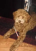 processed/aa932e19-8843-4f7a-b030-f1c77b9ef5a0/facility/28a3db59-022e-43b5-ad5d-b7198c005f96