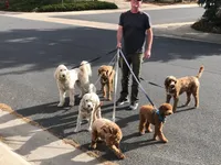 processed/aa932e19-8843-4f7a-b030-f1c77b9ef5a0/facility/aa804eb1-4e01-4798-8303-f0a020c3474d