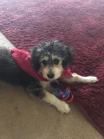 processed/aa932e19-8843-4f7a-b030-f1c77b9ef5a0/facility/ac923507-2bda-4a92-ad30-26739debf457