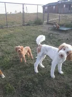 processed/aa932e19-8843-4f7a-b030-f1c77b9ef5a0/facility/b73aaebe-e816-4d67-9bb1-c14ae0301c3e