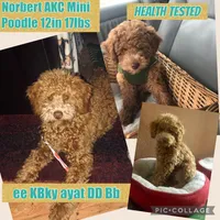 processed/aa932e19-8843-4f7a-b030-f1c77b9ef5a0/listing/7ecb0863-8436-49a9-bb64-2134ce8271ec/66720ef0-8825-463b-8bcd-0b692d25278c