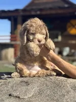 processed/aa932e19-8843-4f7a-b030-f1c77b9ef5a0/listing/7ecb0863-8436-49a9-bb64-2134ce8271ec/a64a90ac-89ab-4b12-8e41-0bfce96b1381