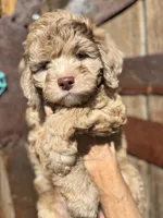 processed/aa932e19-8843-4f7a-b030-f1c77b9ef5a0/listing/7ecb0863-8436-49a9-bb64-2134ce8271ec/cd7f4c2f-5a00-4ce8-a504-3b3cb44abf3b