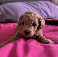 processed/aa932e19-8843-4f7a-b030-f1c77b9ef5a0/listing/b80411fc-7dca-49be-b7dc-533487236448/6406fc6a-7d2f-4943-b58b-901b3b9d76ca