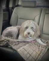 processed/aa932e19-8843-4f7a-b030-f1c77b9ef5a0/listing/b80411fc-7dca-49be-b7dc-533487236448/c62263d8-c01b-4403-94cb-86a93c3dd009