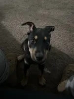 processed/aaab0012-2184-488a-a688-bfeca1df89b0/listing/54c976a3-041a-4e34-a84e-7065d330cb24/123e21d6-dd4a-48c8-9270-82550429fbc4