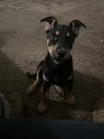 processed/aaab0012-2184-488a-a688-bfeca1df89b0/listing/54c976a3-041a-4e34-a84e-7065d330cb24/21f93447-3839-4fae-8735-e4f9318752ac