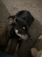 processed/aaab0012-2184-488a-a688-bfeca1df89b0/listing/54c976a3-041a-4e34-a84e-7065d330cb24/6abaeac4-acaf-4c02-ab22-ed7203ed086d