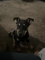 processed/aaab0012-2184-488a-a688-bfeca1df89b0/listing/54c976a3-041a-4e34-a84e-7065d330cb24/8fc6bef3-3f88-4e0d-90ab-b876c6136a58