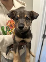 processed/aaab0012-2184-488a-a688-bfeca1df89b0/listing/e80a70b1-4994-48e5-9887-c082bd93ea29/db71ee18-da18-4a91-8af4-bd31277bee16