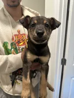 processed/aaab0012-2184-488a-a688-bfeca1df89b0/listing/e80a70b1-4994-48e5-9887-c082bd93ea29/f99cbd53-1e5c-4ad8-b059-f1c51572a577