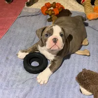 processed/aacd2ca7-aeaa-4440-a638-8ae316ba1d93/listing/82dbb9e0-f6cb-4630-b9be-8bc0dbd010aa/43df4aac-5867-41c1-81fe-87e5f8bc2a53