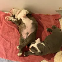 processed/aacd2ca7-aeaa-4440-a638-8ae316ba1d93/listing/82dbb9e0-f6cb-4630-b9be-8bc0dbd010aa/db09e265-6db1-48ff-8aab-751ae11ab737