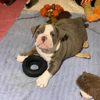 processed/aacd2ca7-aeaa-4440-a638-8ae316ba1d93/listing/c32dd905-f79c-4a44-8818-217bb9c501b9/02ceb606-4095-490f-9c8d-ece33bc7af70